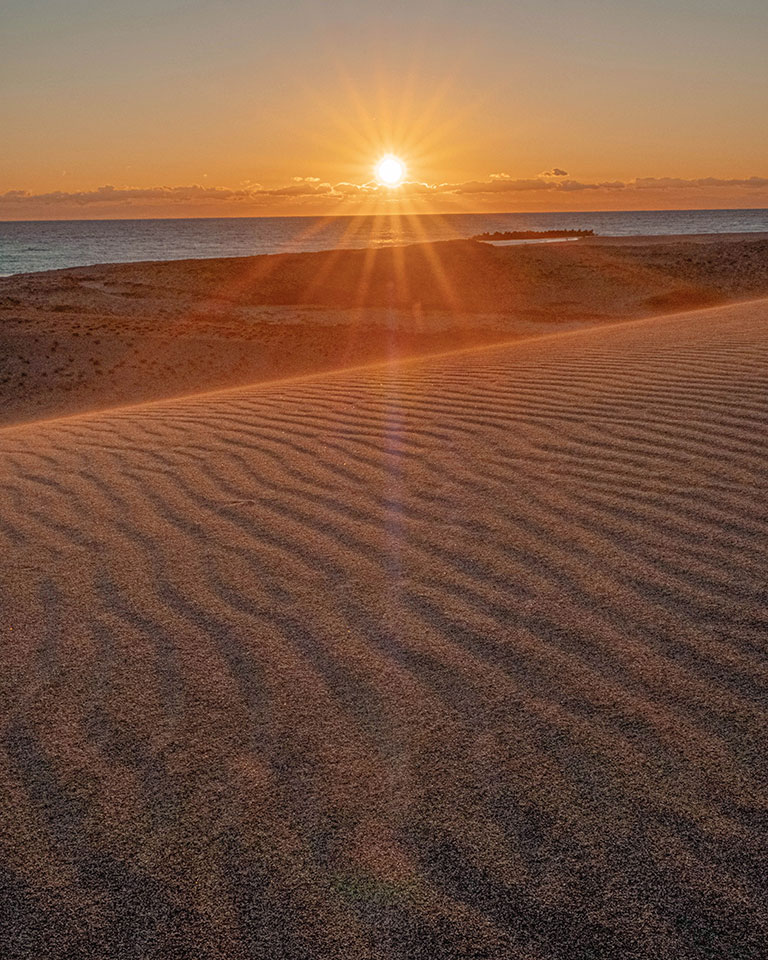 優秀賞　中川己年夫さんの作品「砂丘に舞い上がる砂と形成されていく風紋」